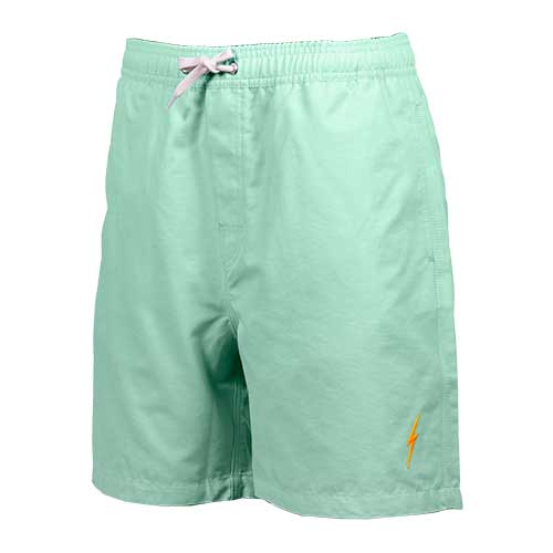 ESSENTIAL TURTLE BOARDSHORTS - Lightning Bolt