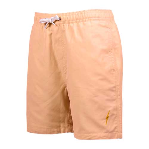 ESSENTIAL TURTLE BOARDSHORTS - Lightning Bolt