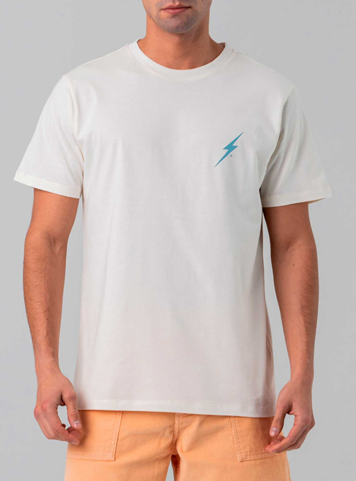 Lightning Bolt - DESTRÓI AS ONDAS NÃO AS PRAIAS T - SHIRT - 99AMATST018W0300XS