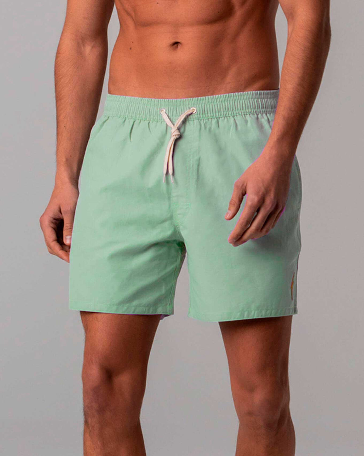 Lightning Bolt - ESSENTIAL TURTLE BOARDSHORTS - 99AMABSH195B380030