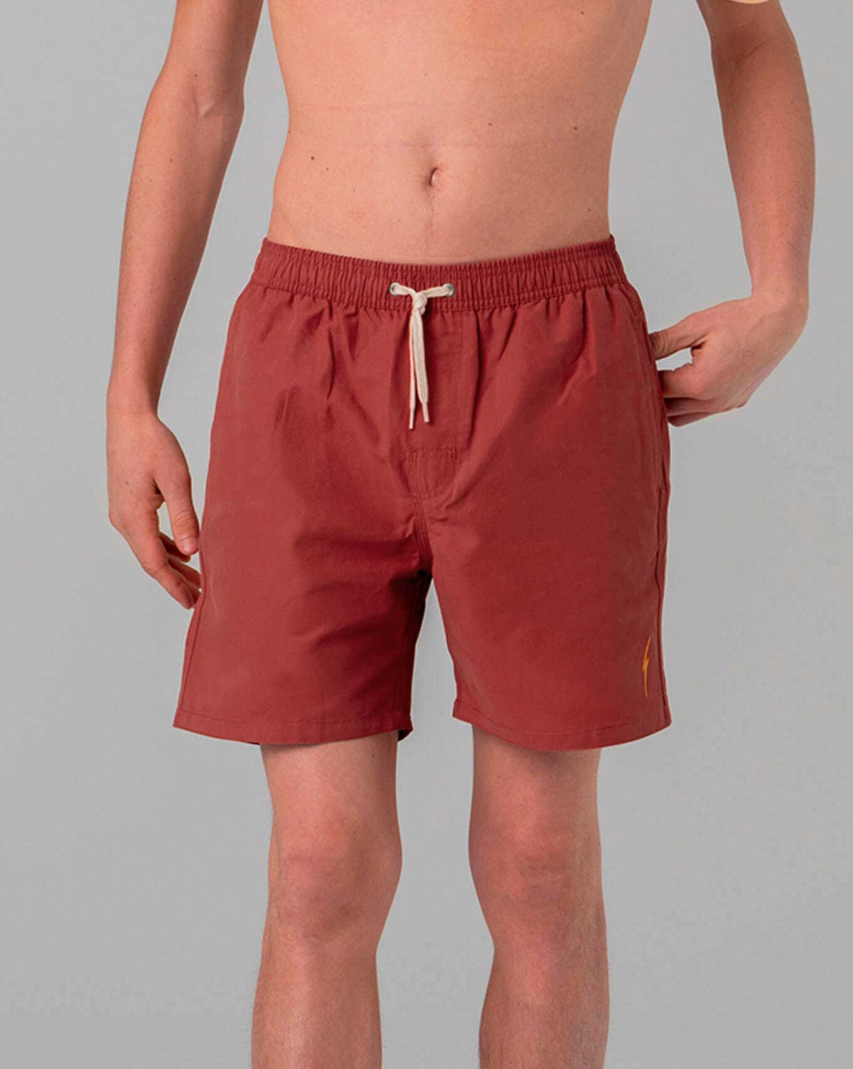Lightning Bolt - ESSENTIAL TURTLE BOARDSHORTS - 99AMABSH195B380030