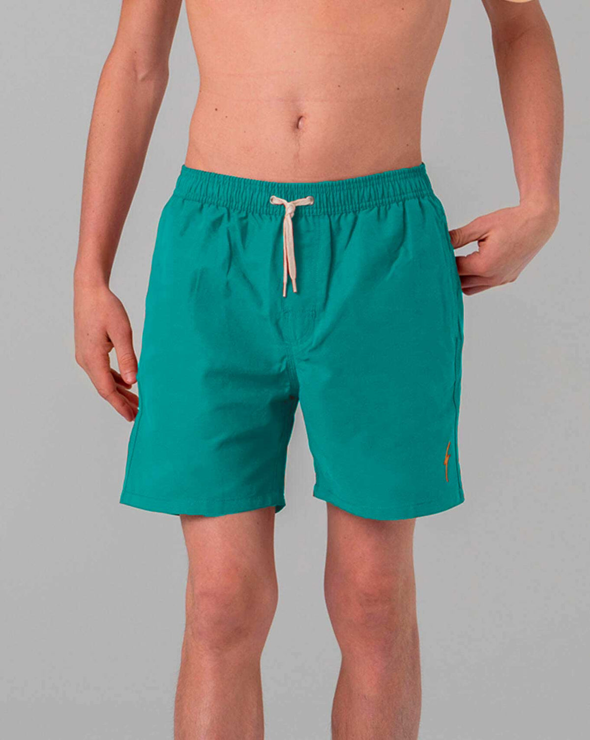 Lightning Bolt - ESSENTIAL TURTLE BOARDSHORTS - 99AMABSH195R180030
