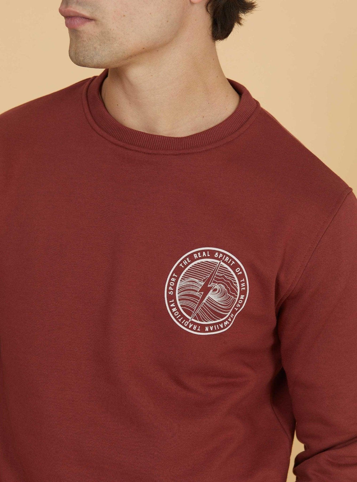 Lightning Bolt - REGULAR SWEATSHIRT WITH BACK PRINT - 23WMASWE004R18000S