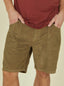 Lightning Bolt - REGULAR CORDUROY WALKSHORTS - 99AMAWSH001G510030